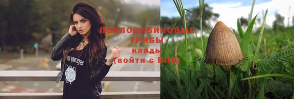 прущие грибы Лихославль