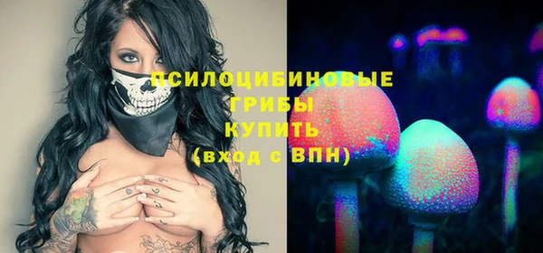твердый Магадан