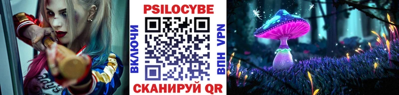 Галлюциногенные грибы Cubensis  что такое   kraken как войти  Лукоянов 